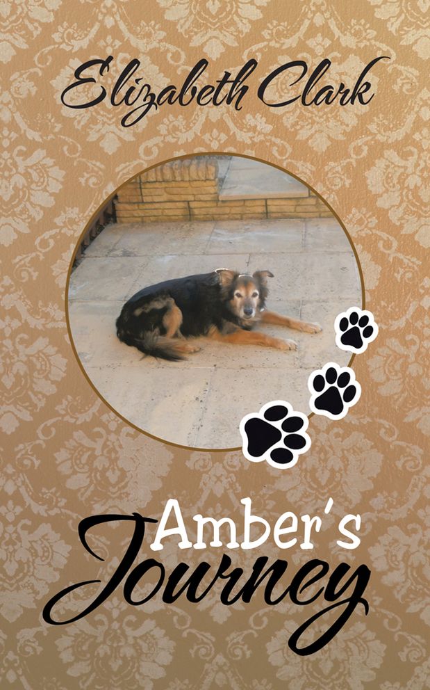 Amber's Journey