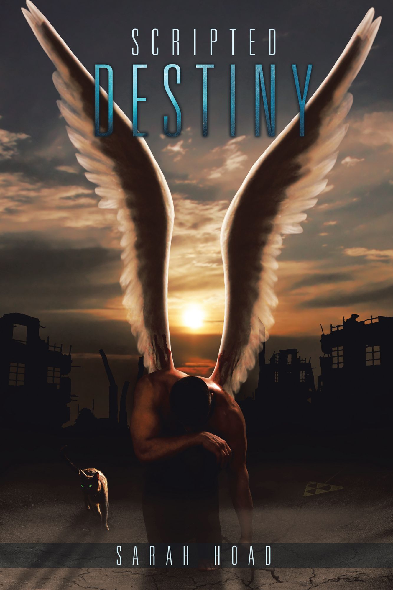 SCRIPTED DESTINY: BOOK FIVE