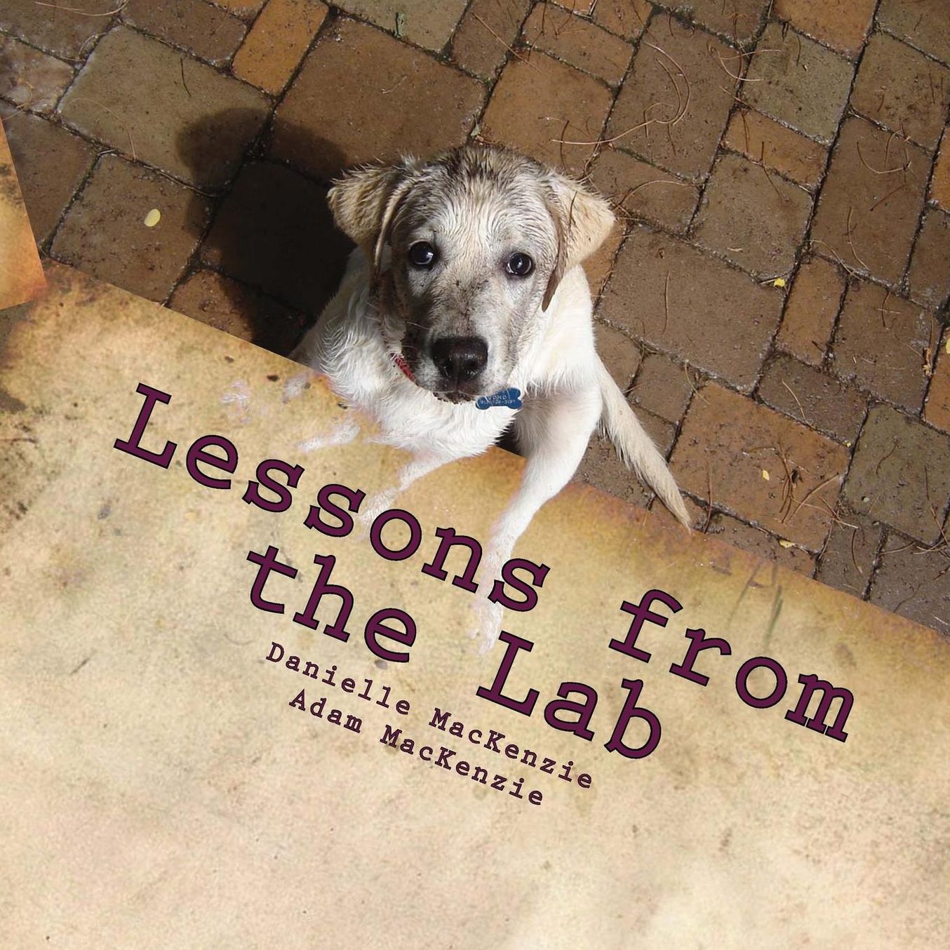 Lessons from the Lab: 26 Life Lessons You Can Learn from a Dog...A to Z