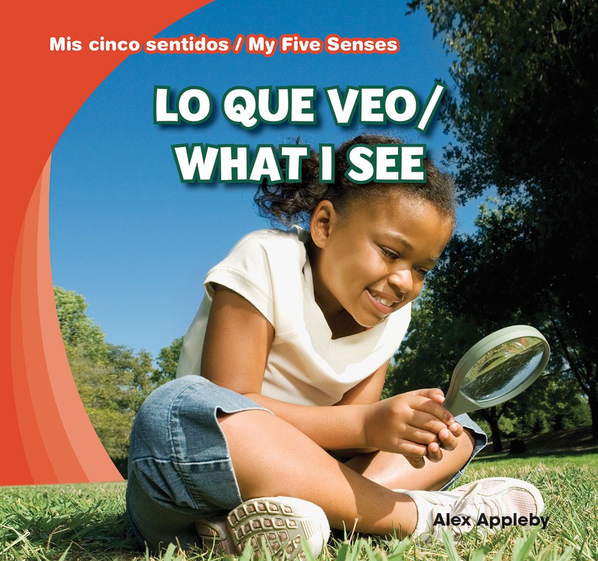 Lo que veo / What I See