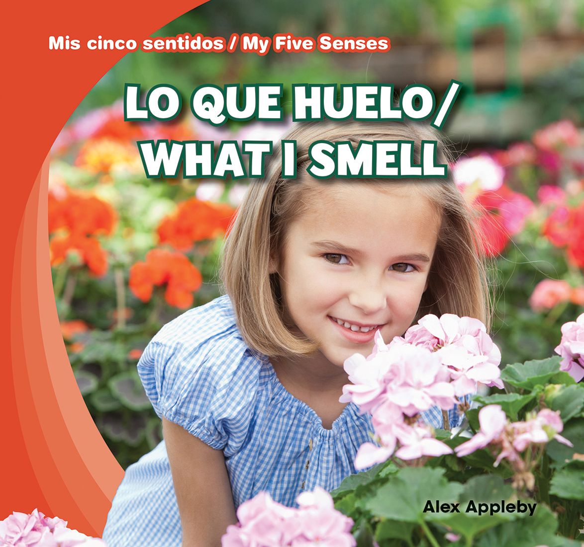 Lo que huelo / What I Smell