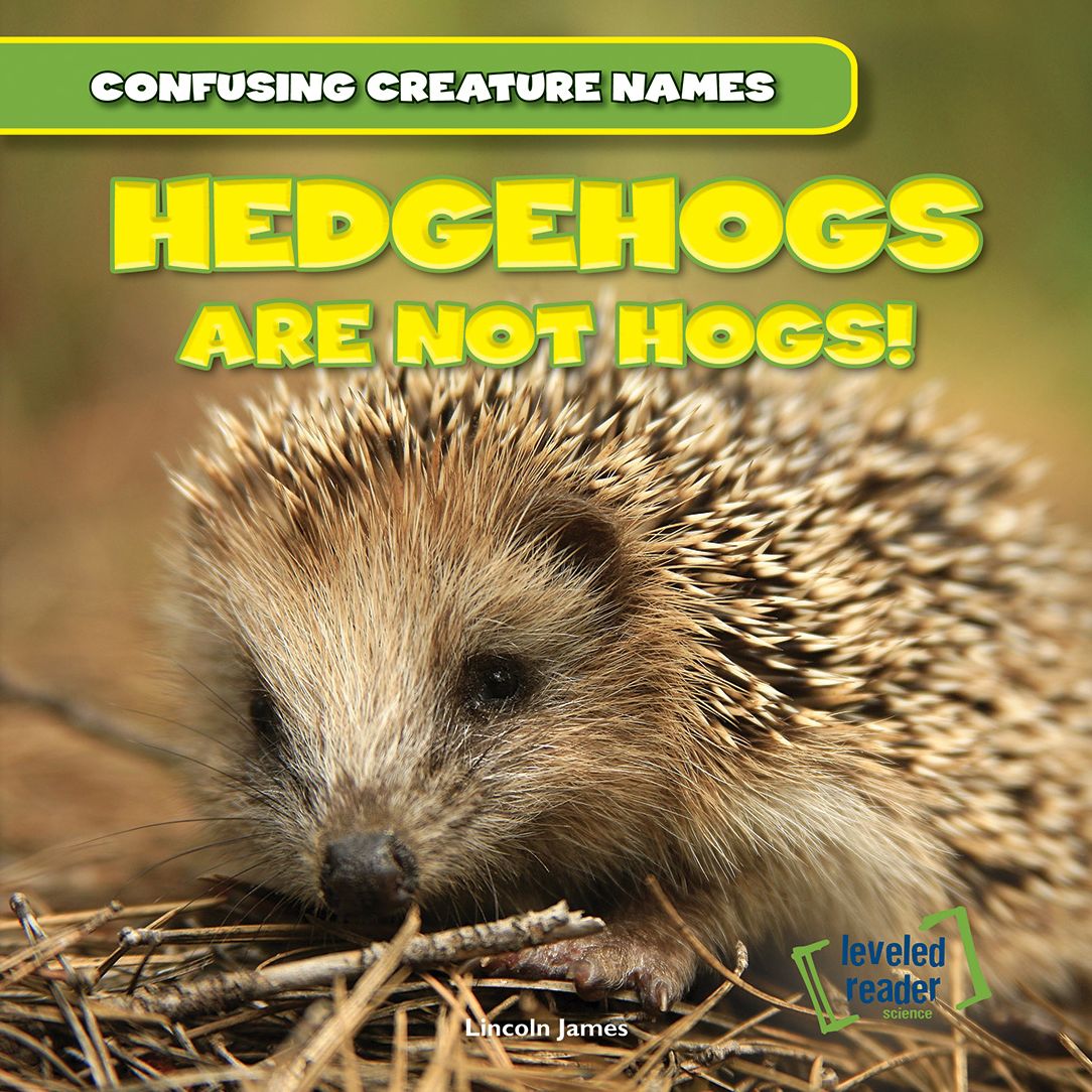 Hedgehogs Are Not Hogs!