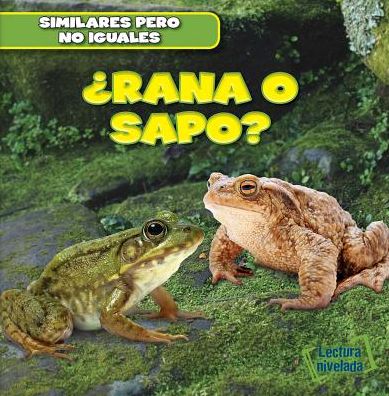 Rana o sapo? (Frog or Toad?)