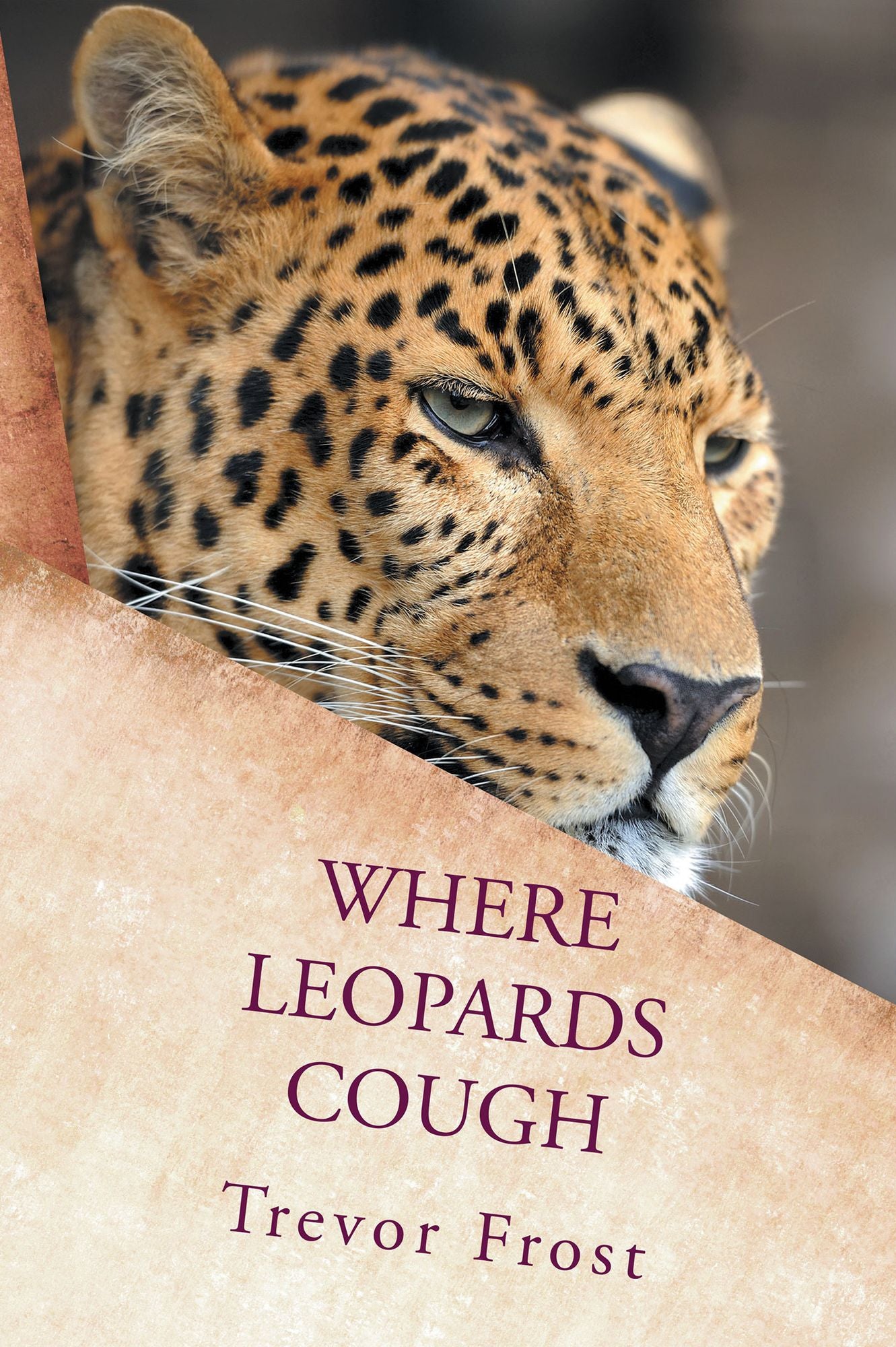WHERE LEOPARDS COUGH