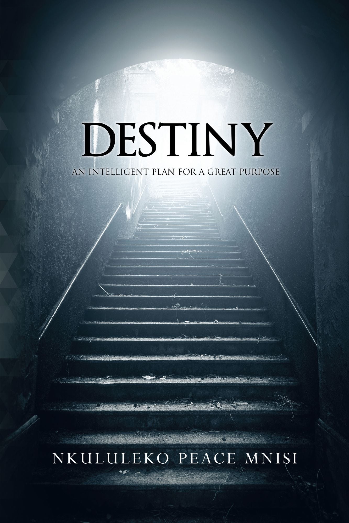 Destiny: An Intelligent Plan for a Great Purpose