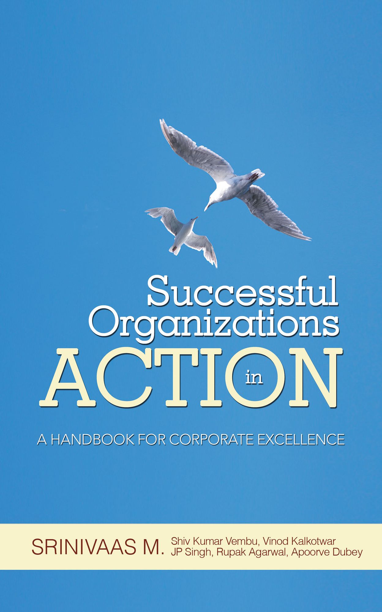 Successful Organizations in Action: A HANDBOOK FOR CORPORATE EXCELLENCE