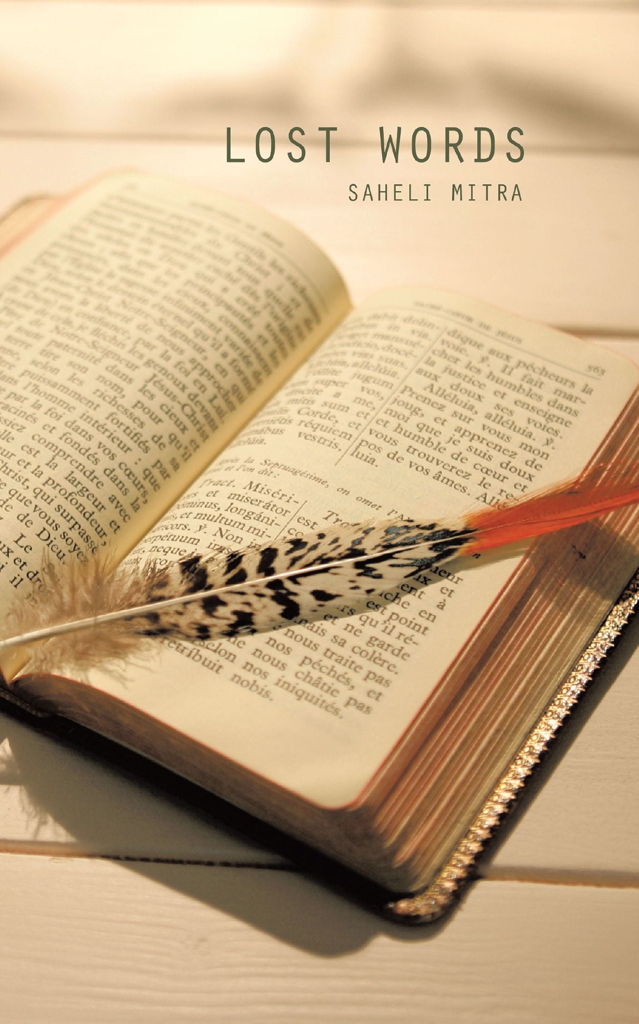LOST WORDS