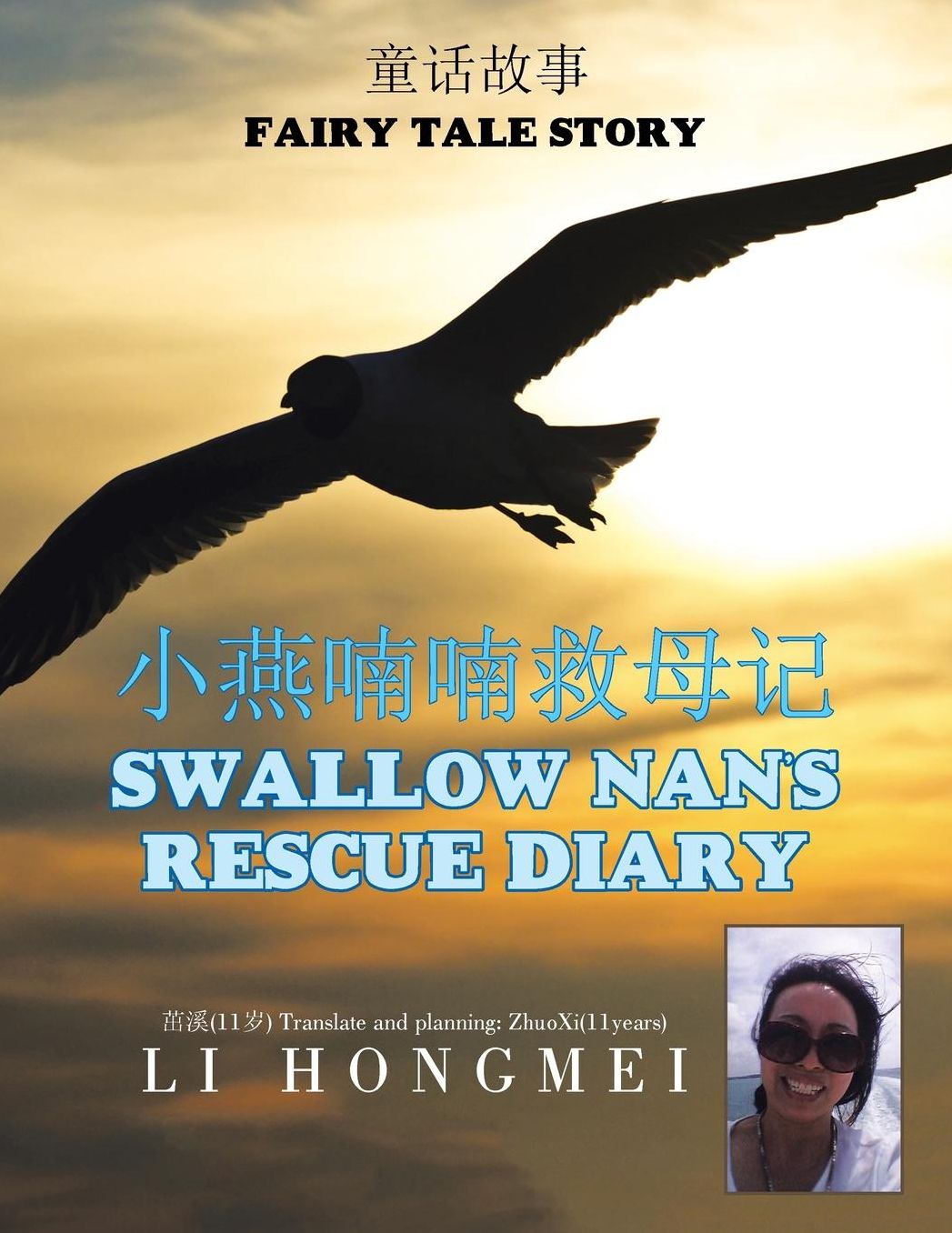 ??*?-??-??*'??: Swallow Nan's Rescue Diary