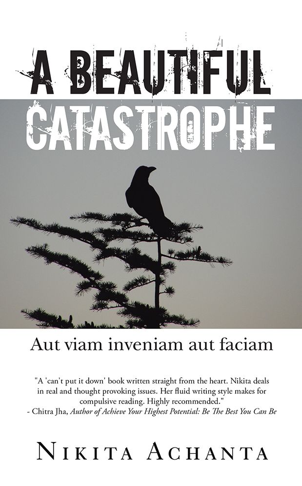 A Beautiful Catastrophe: Aut viam inveniam aut faciam