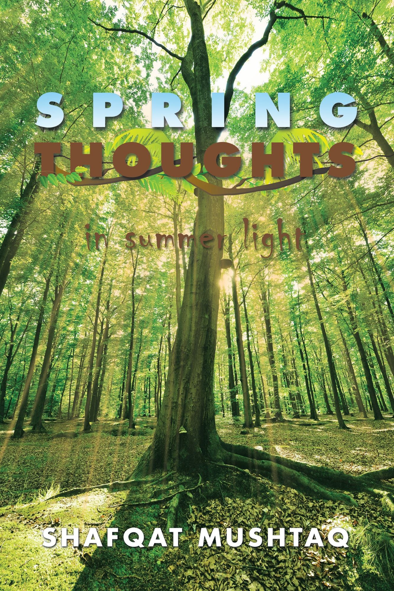 SPRING THOUGHTS: in summer light