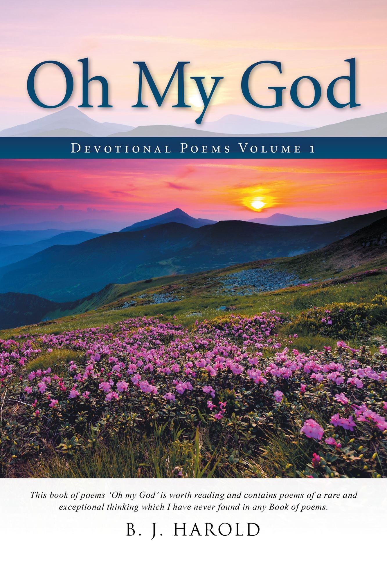 Oh My God: Devotional Poems Volume 1