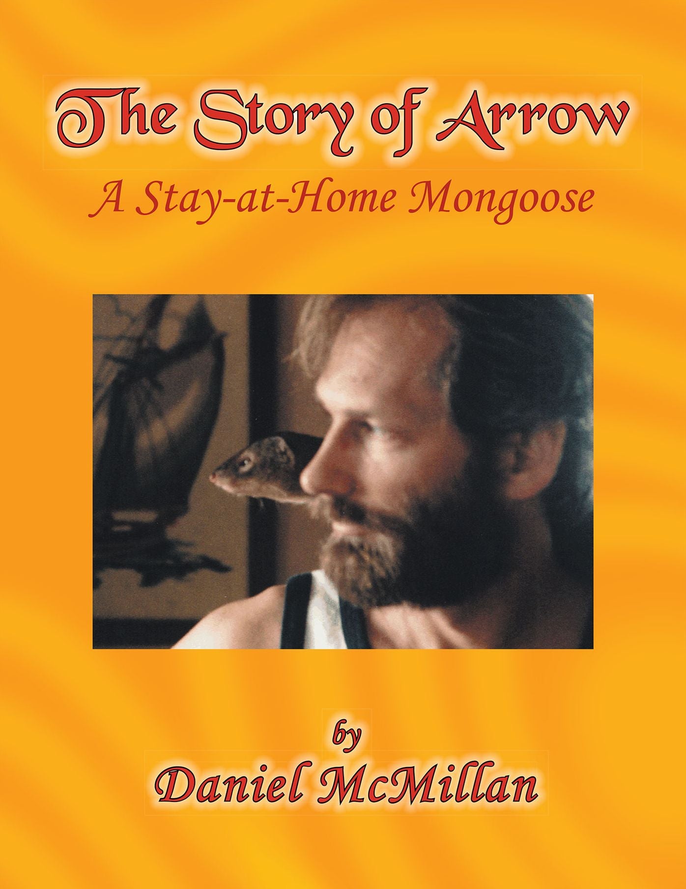 The Story of Arrow: A Stay-at-Home Mongoose