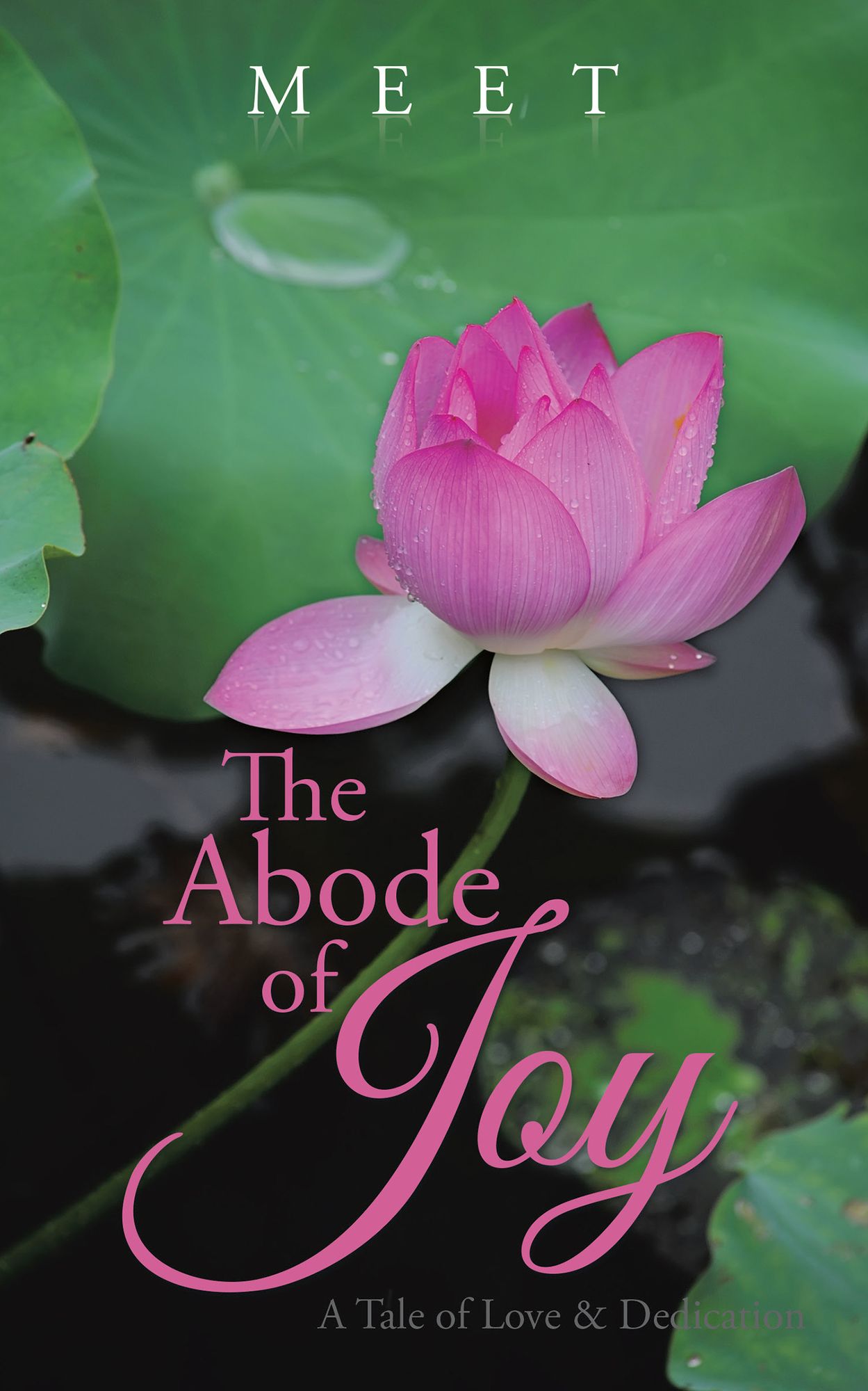The Abode of Joy: A Tale of Love & Dedication