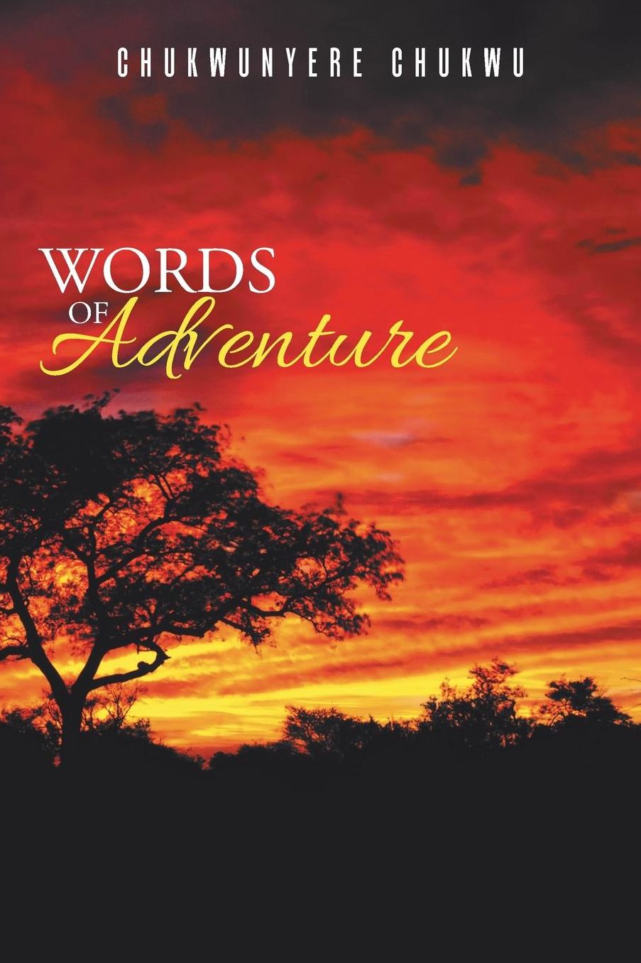 WORDS OF ADVENTURE
