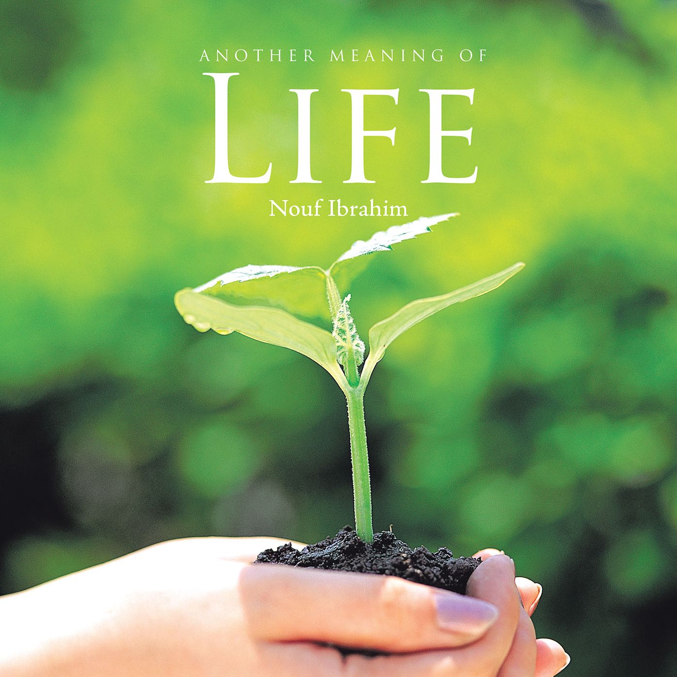 Another Meaning of Life (PagePerfect NOOK Book)