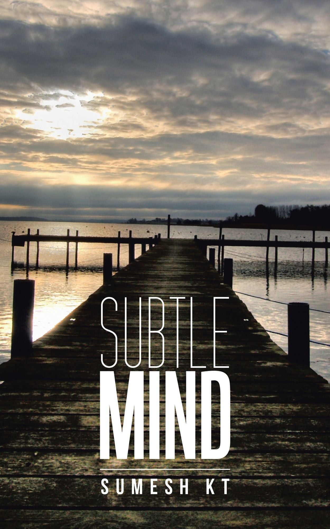 SUBTLE MIND