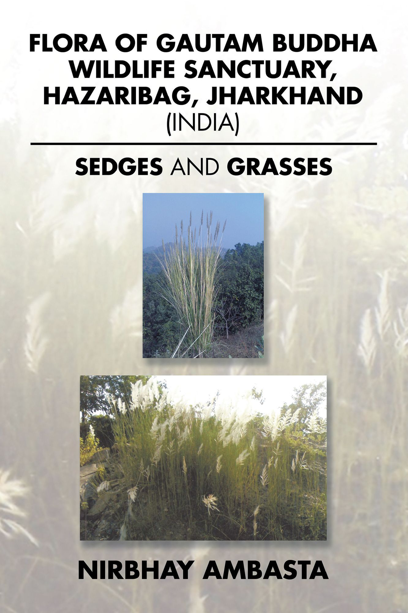 Flora of Gautam Buddha Wildlife Sanctuary, Hazaribag, Jharkhand (India): Sedges and Grasses