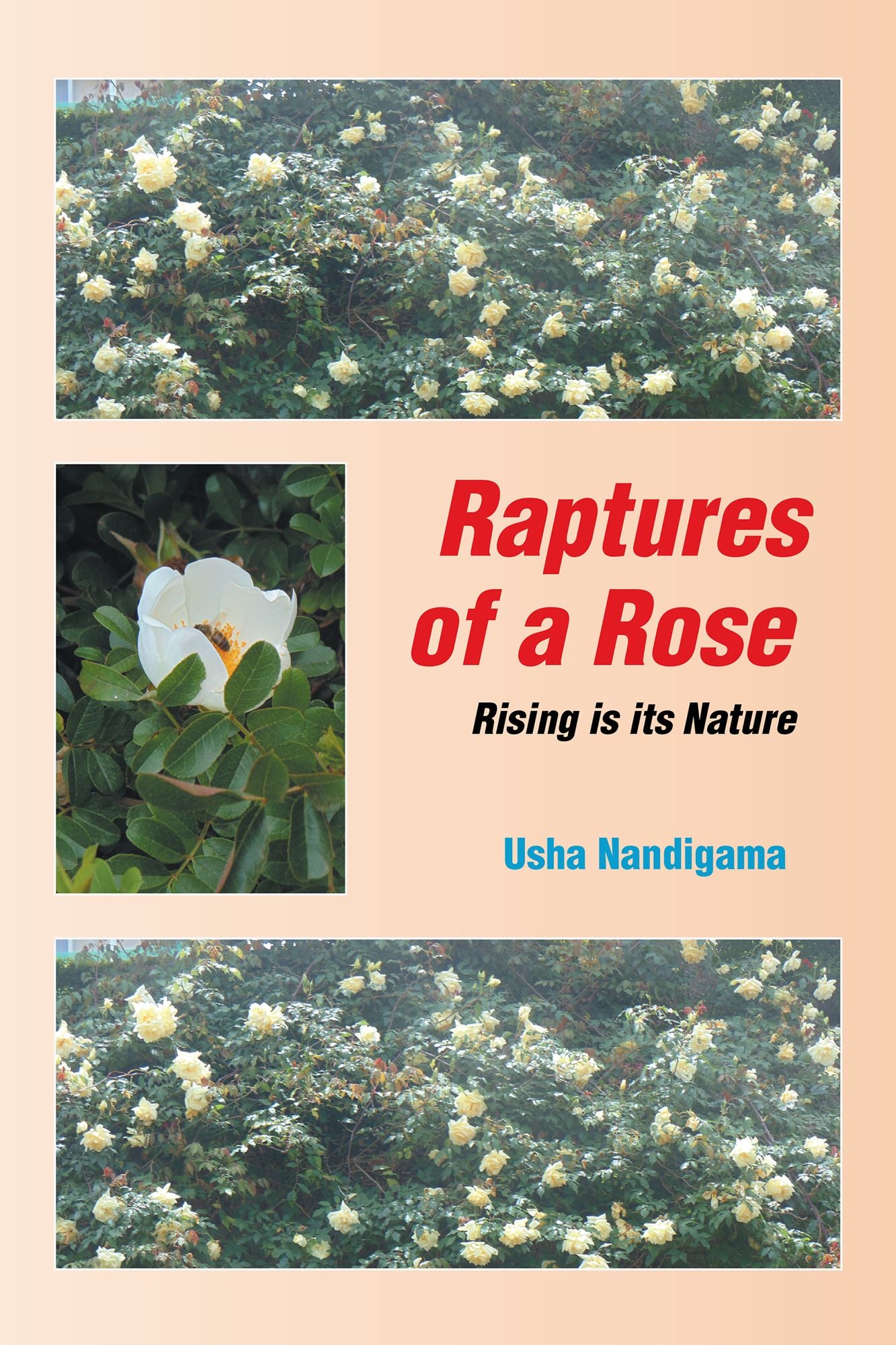 Raptures of a Rose: Rising Is Its Nature