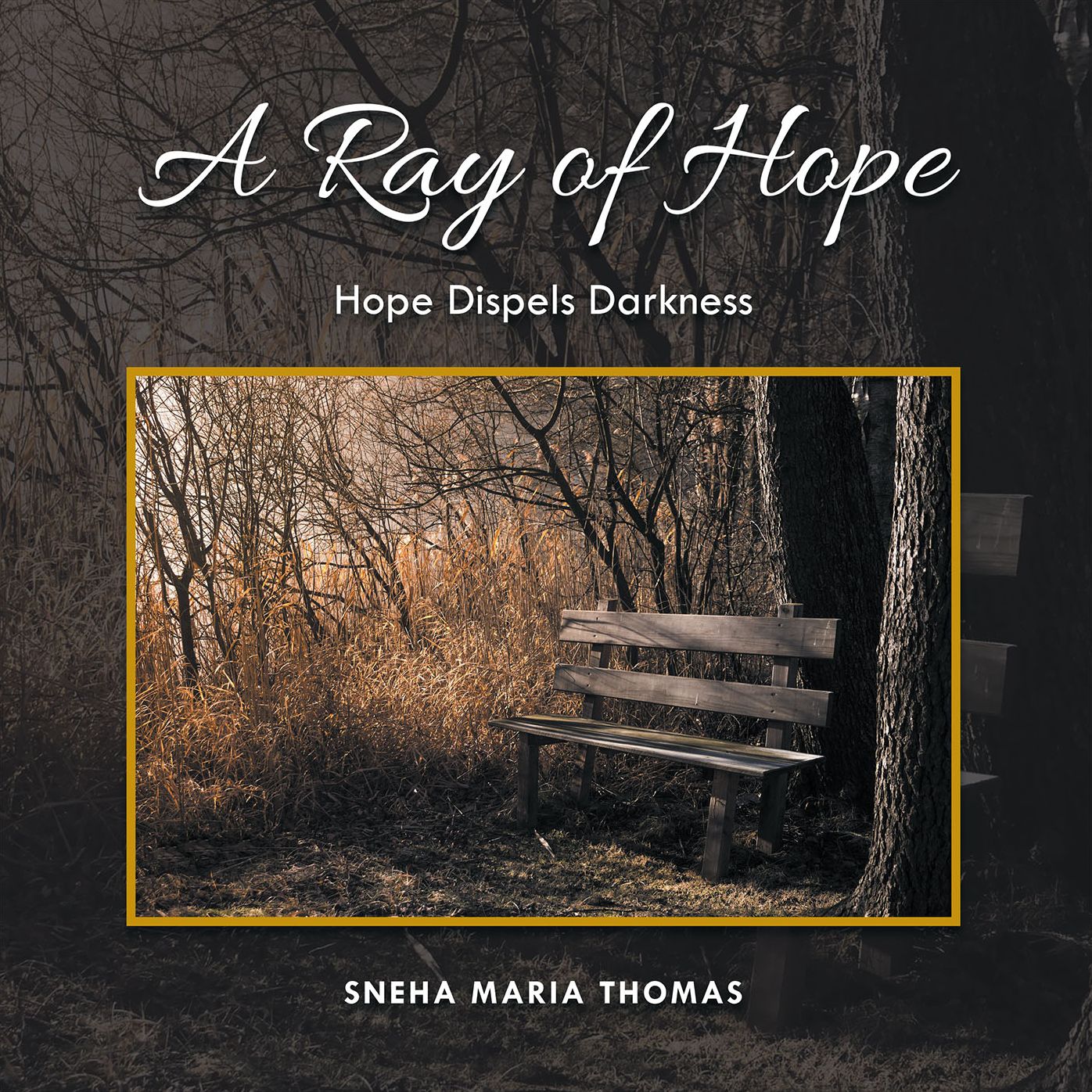 A Ray of Hope: Hope Dispels Darkness