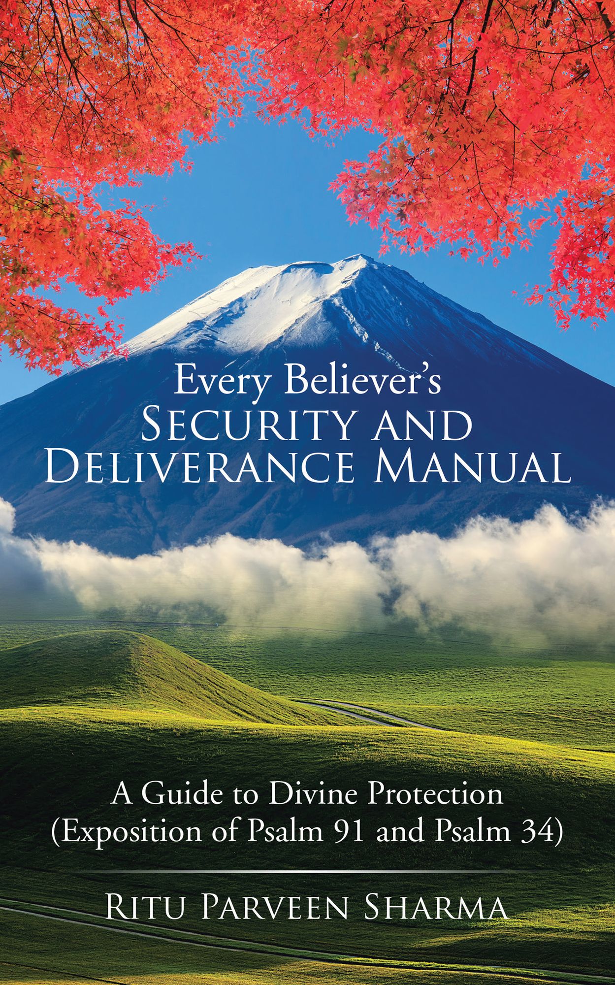 Every Believer's Security and Deliverance Manual: A Guide to Divine Protection (Exposition of Psalm 91 and Psalm 34)