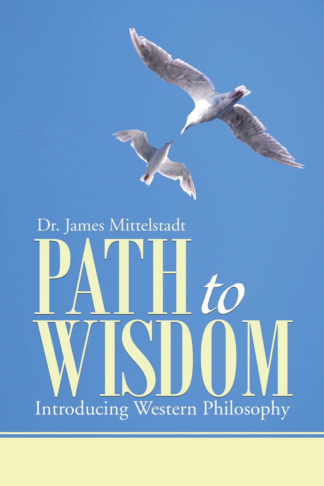 Path to Wisdom: Introducing Western Philosophy