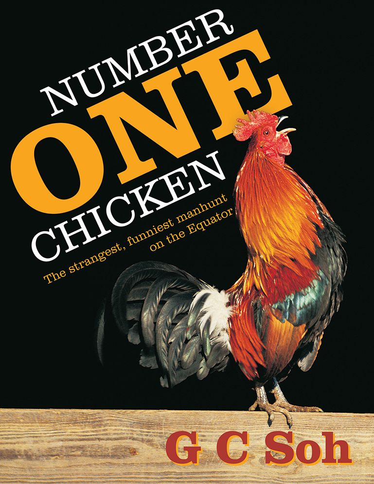 Number One Chicken: The strangest, funniest manhunt on the Equator