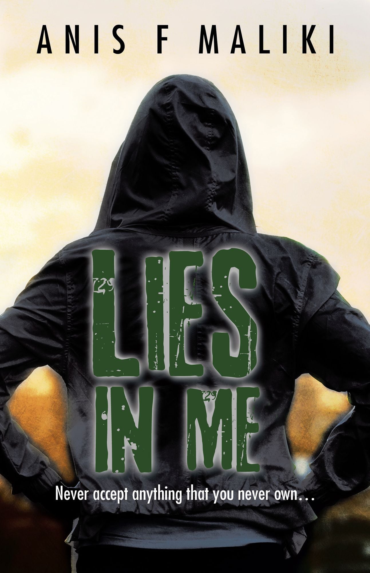 Lies In Me: Never Accept Anything That You Never Own . . . .