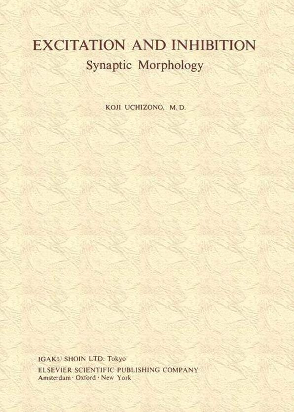 Excitation and Inhibition: Synaptic Morphology