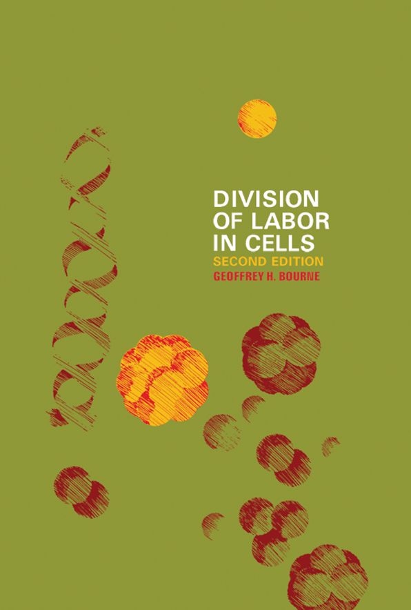 Division of Labor in Cells