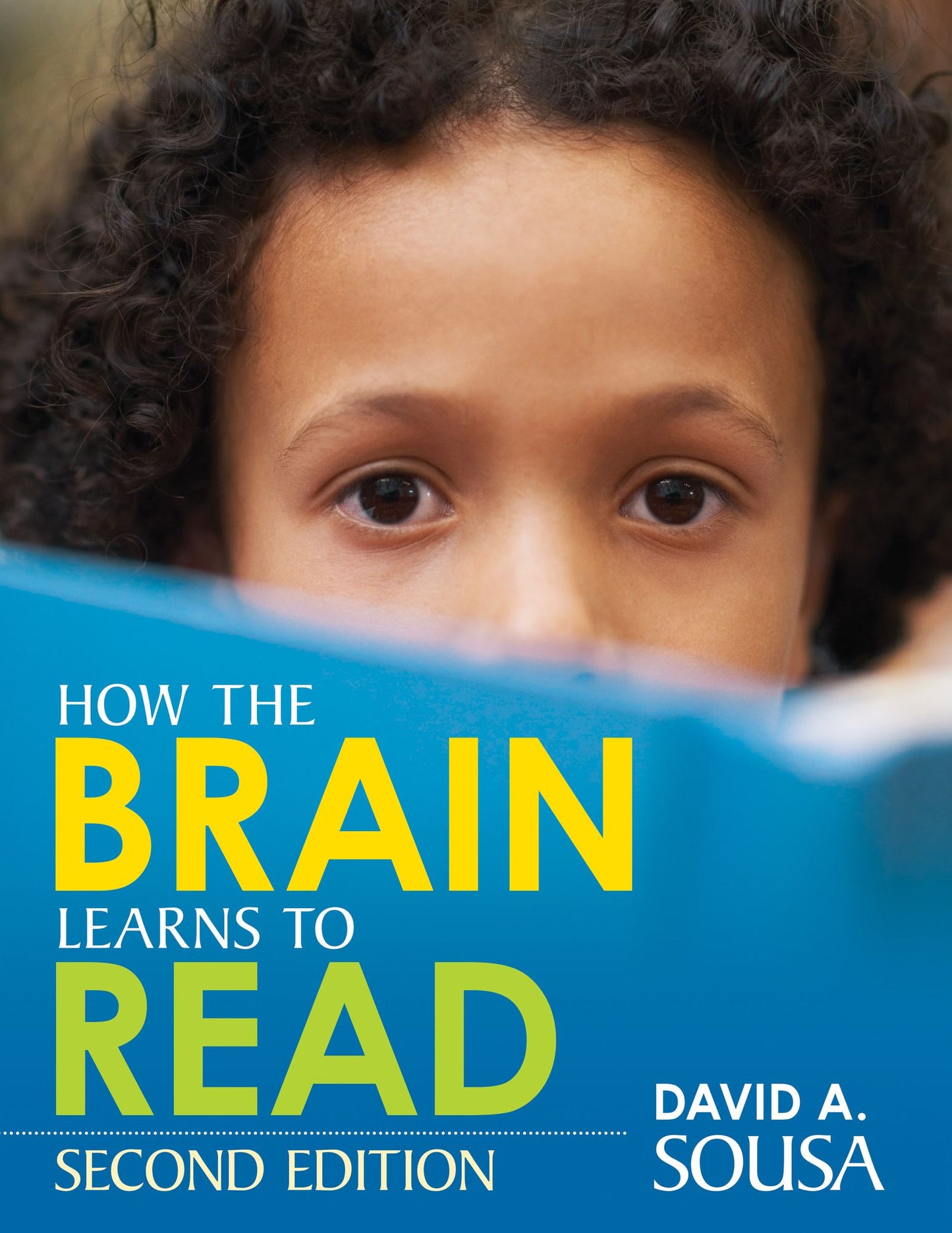 How The Brain Learns To Read, Paperback