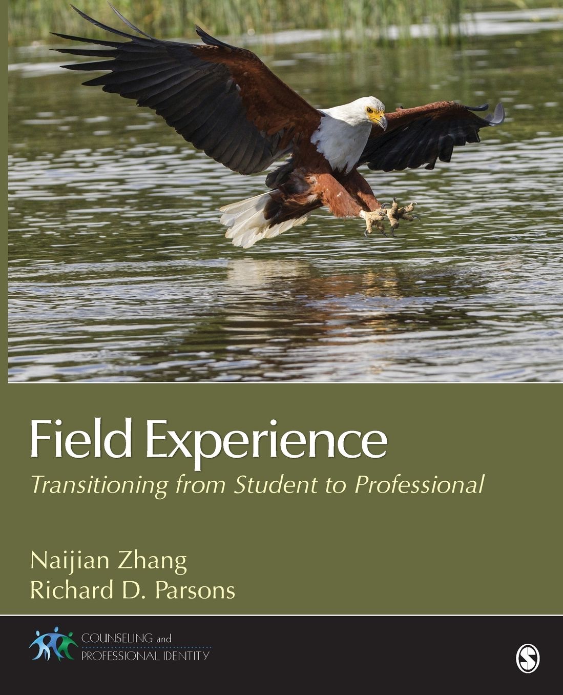 Field Experience: Transitioning From Student to Professional