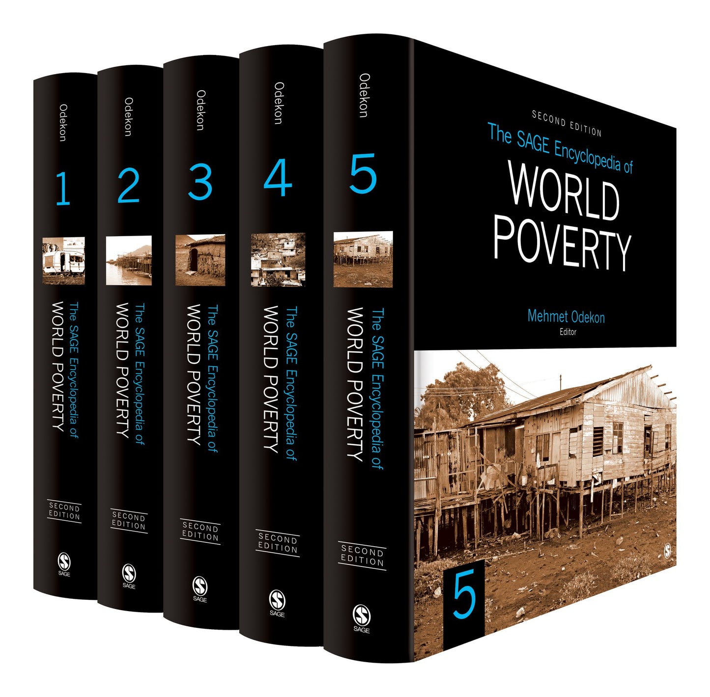 The Sage Encyclopedia of World Poverty