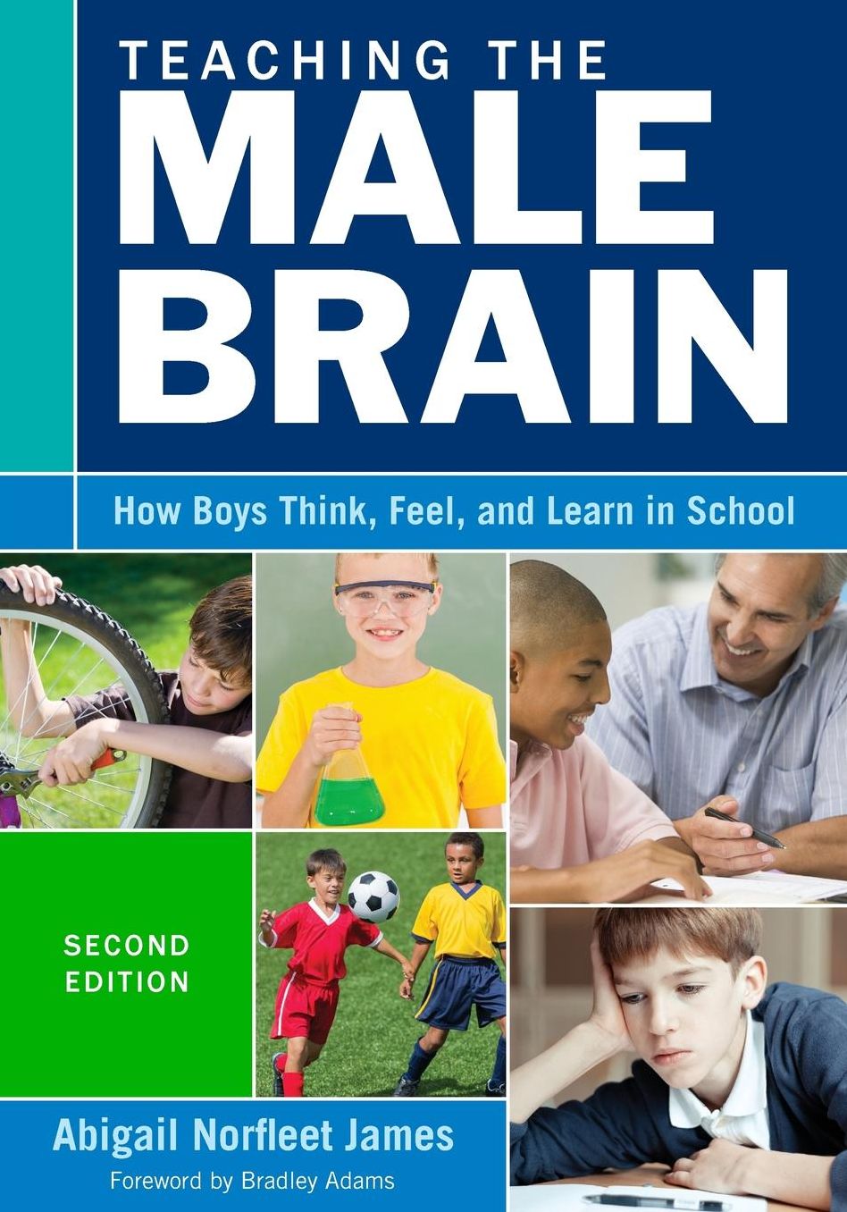 TEACHING THE MALE BRAIN