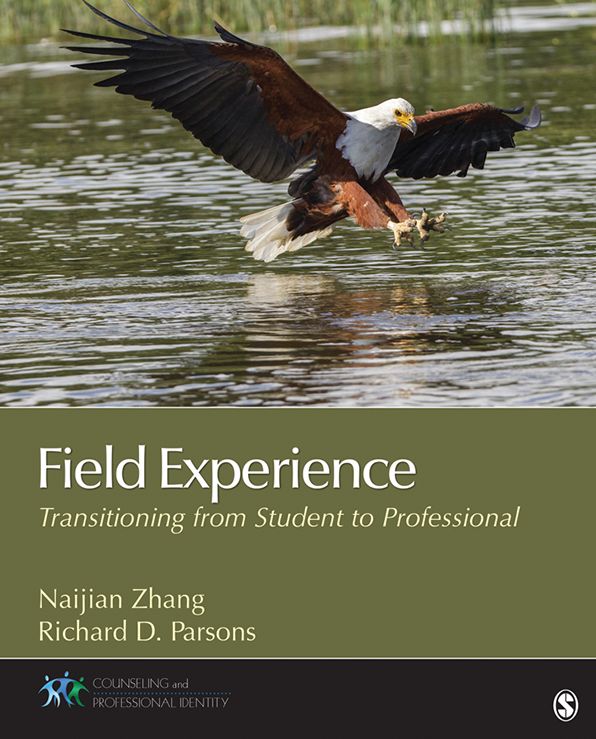 Field Experience: Transitioning From Student to Professional