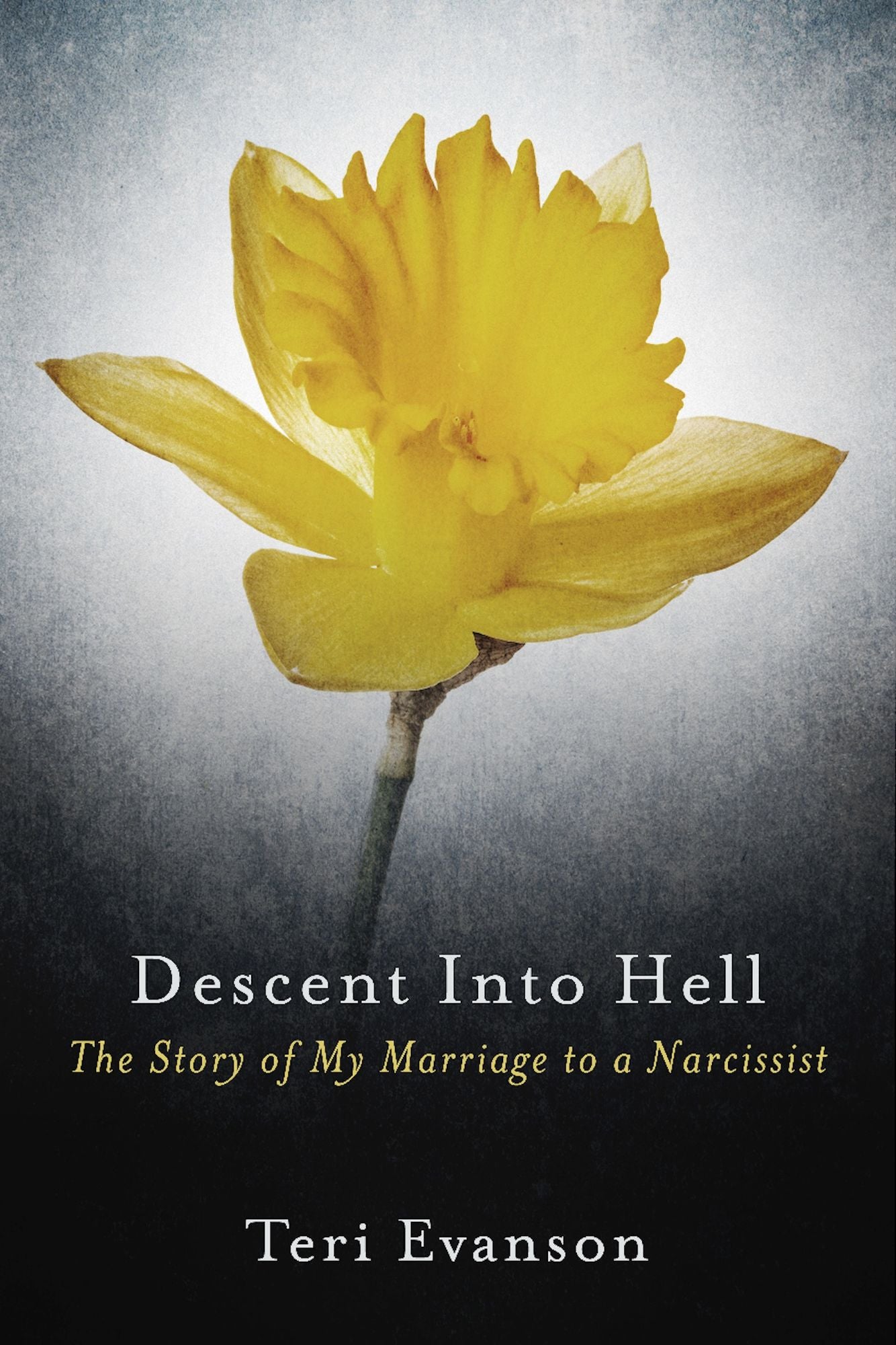 Descent Into Hell: The Story of My Marriage to a Narcissist