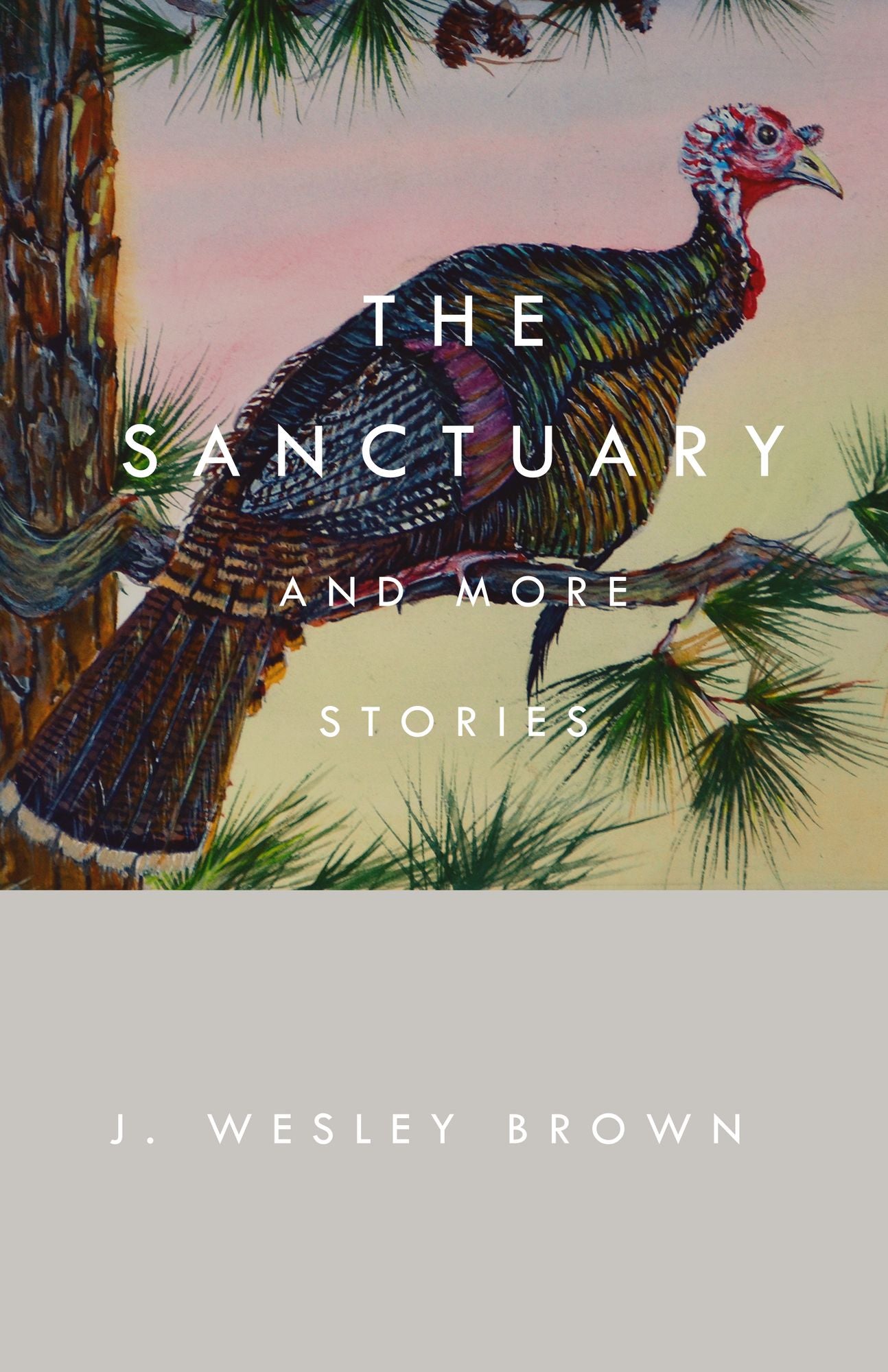 The Sanctuary: And More Stories