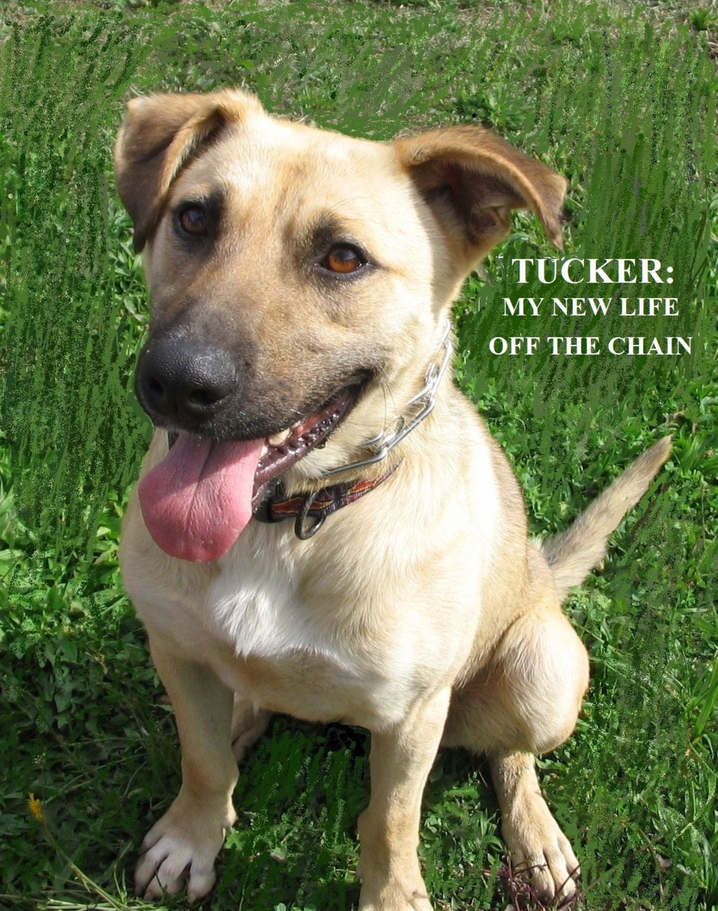 Tucker: My New Life Off The Chain