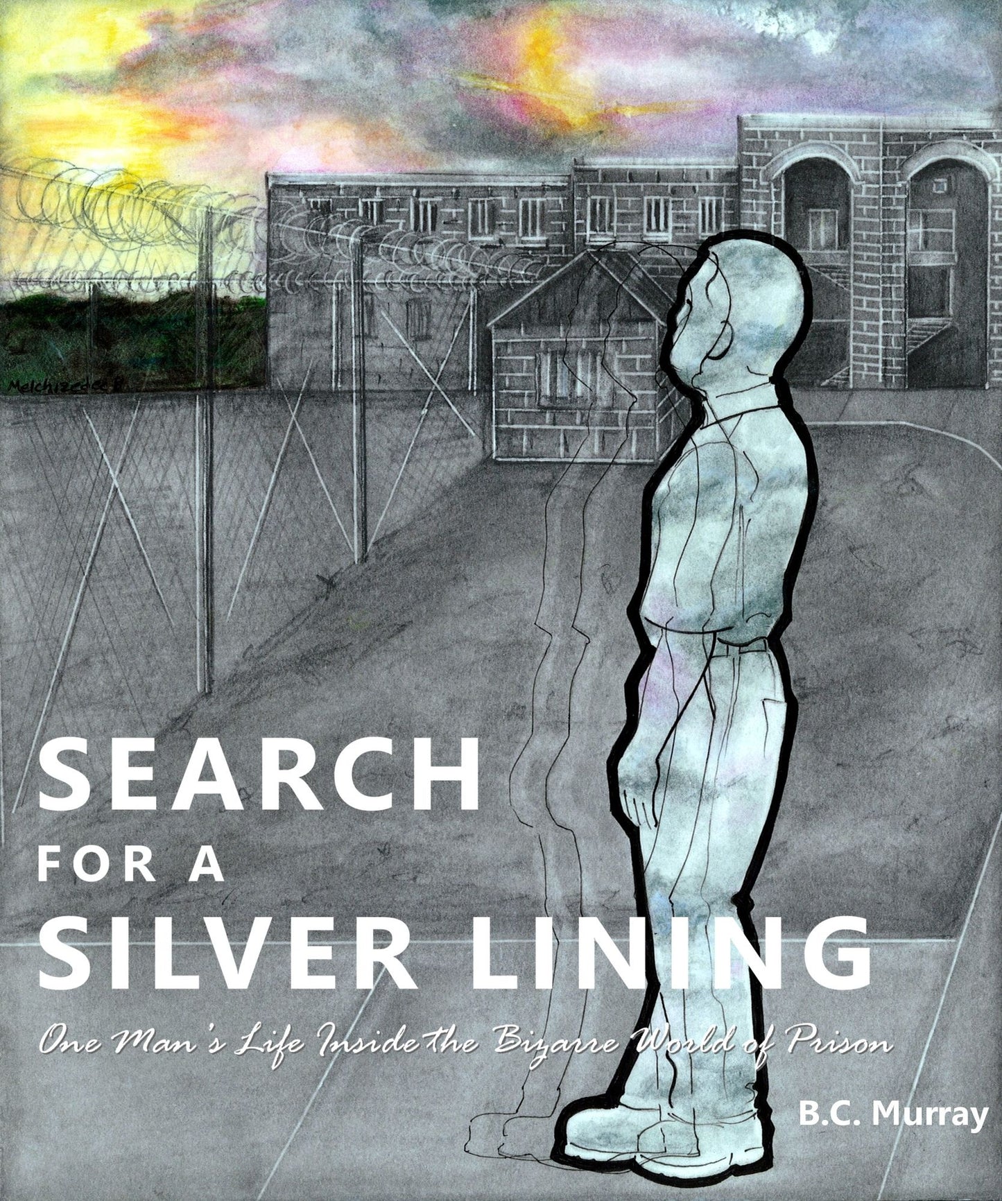 Search for a Silver Lining: One Man's Life Inside the Bizarre World of Prison