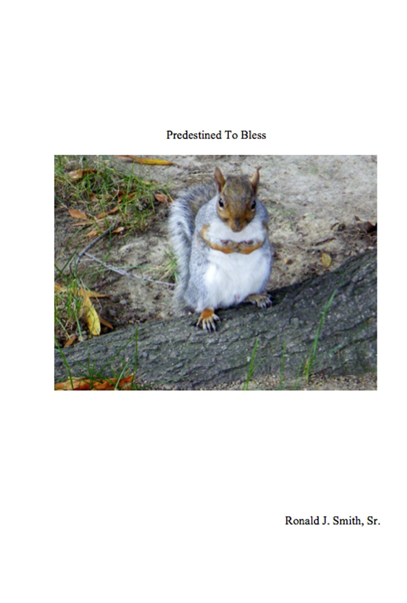 Predestined to Bless