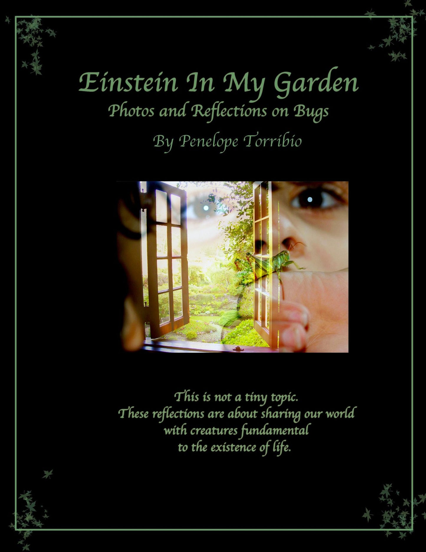 Einstein in My Garden: Photos and Reflections on Bugs