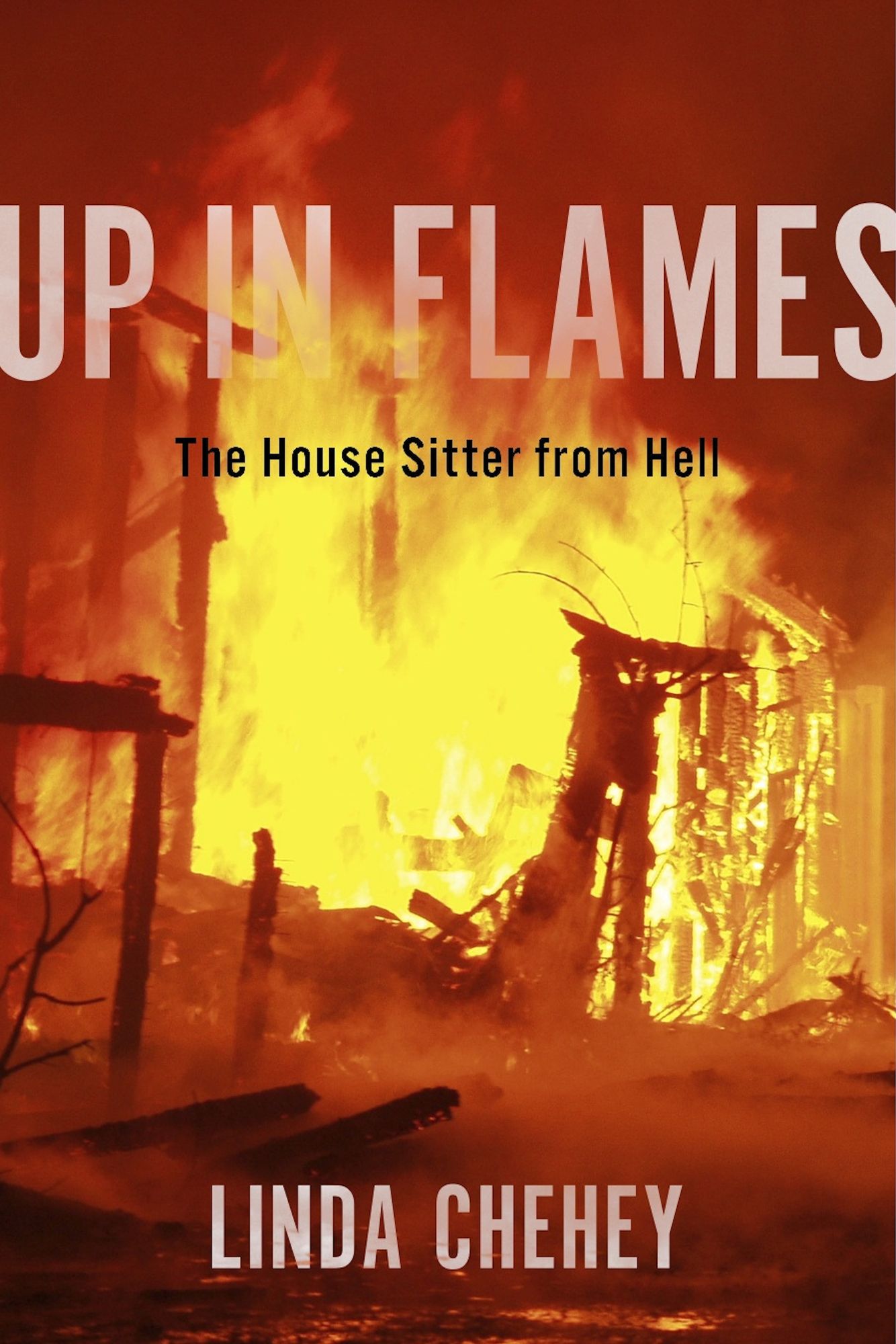 Up in Flames: The House Sitter from Hell