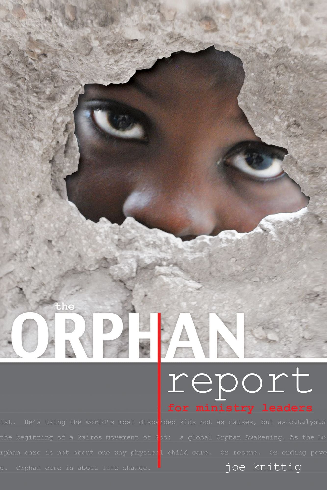The Orphan Report - For Ministry Leaders: The Orphan Report - For Ministry Leaders