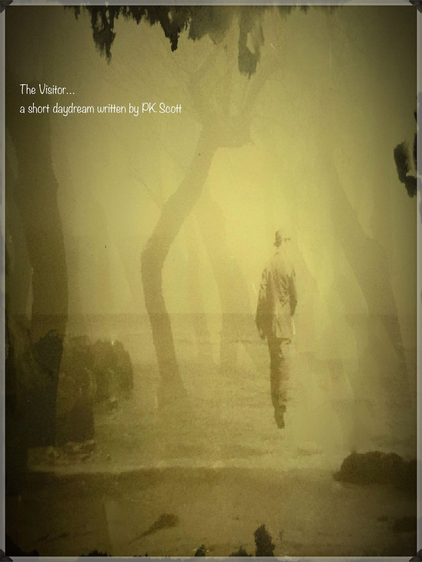 The Visitor: A Short Daydream