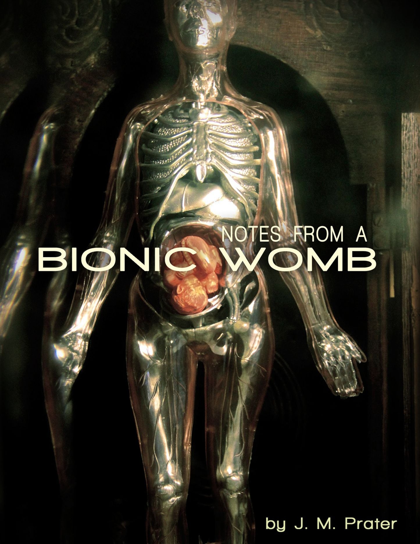 Notes From A Bionic Womb