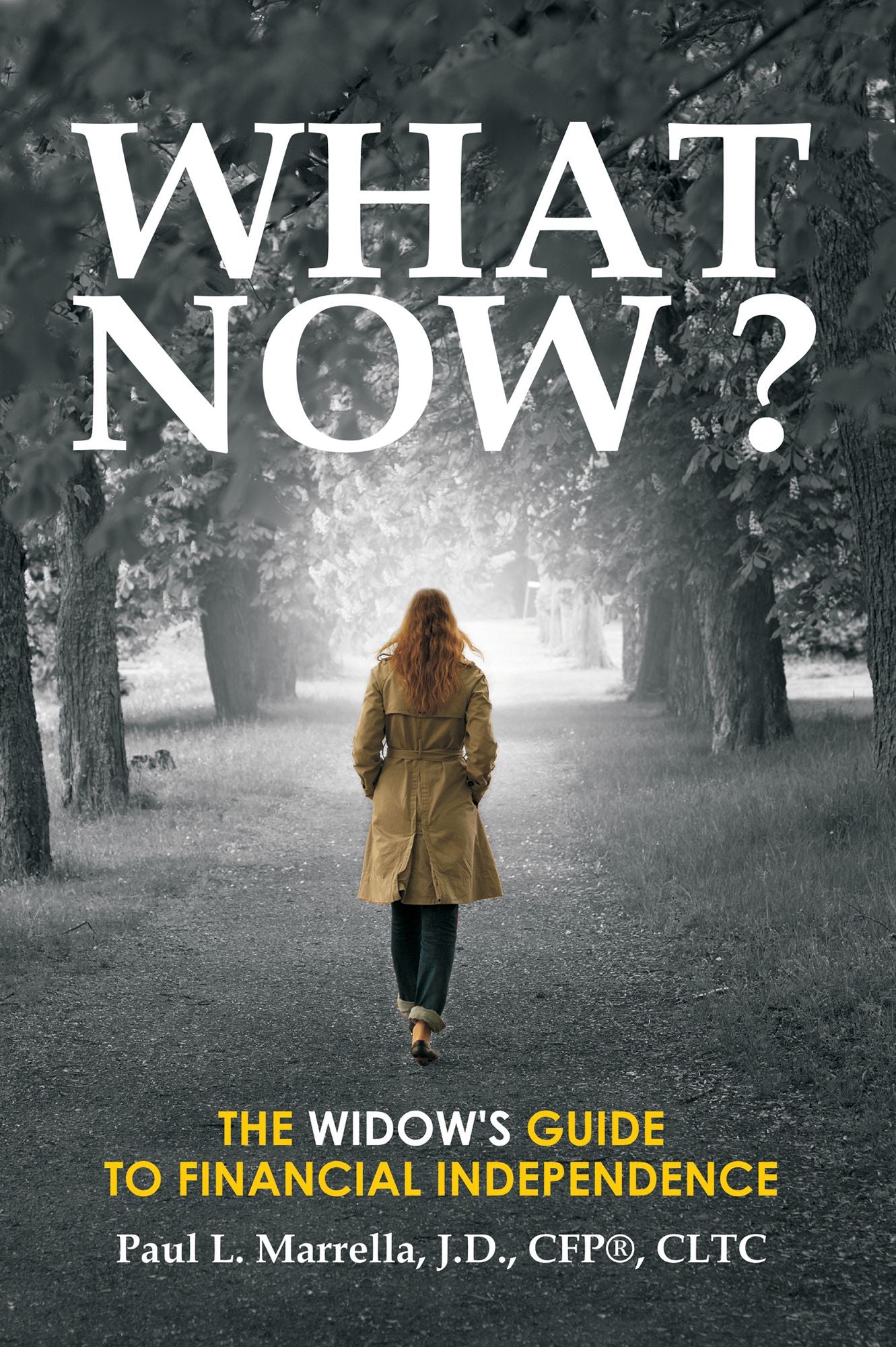 What Now?: A Widow's Guide to Financial Independence
