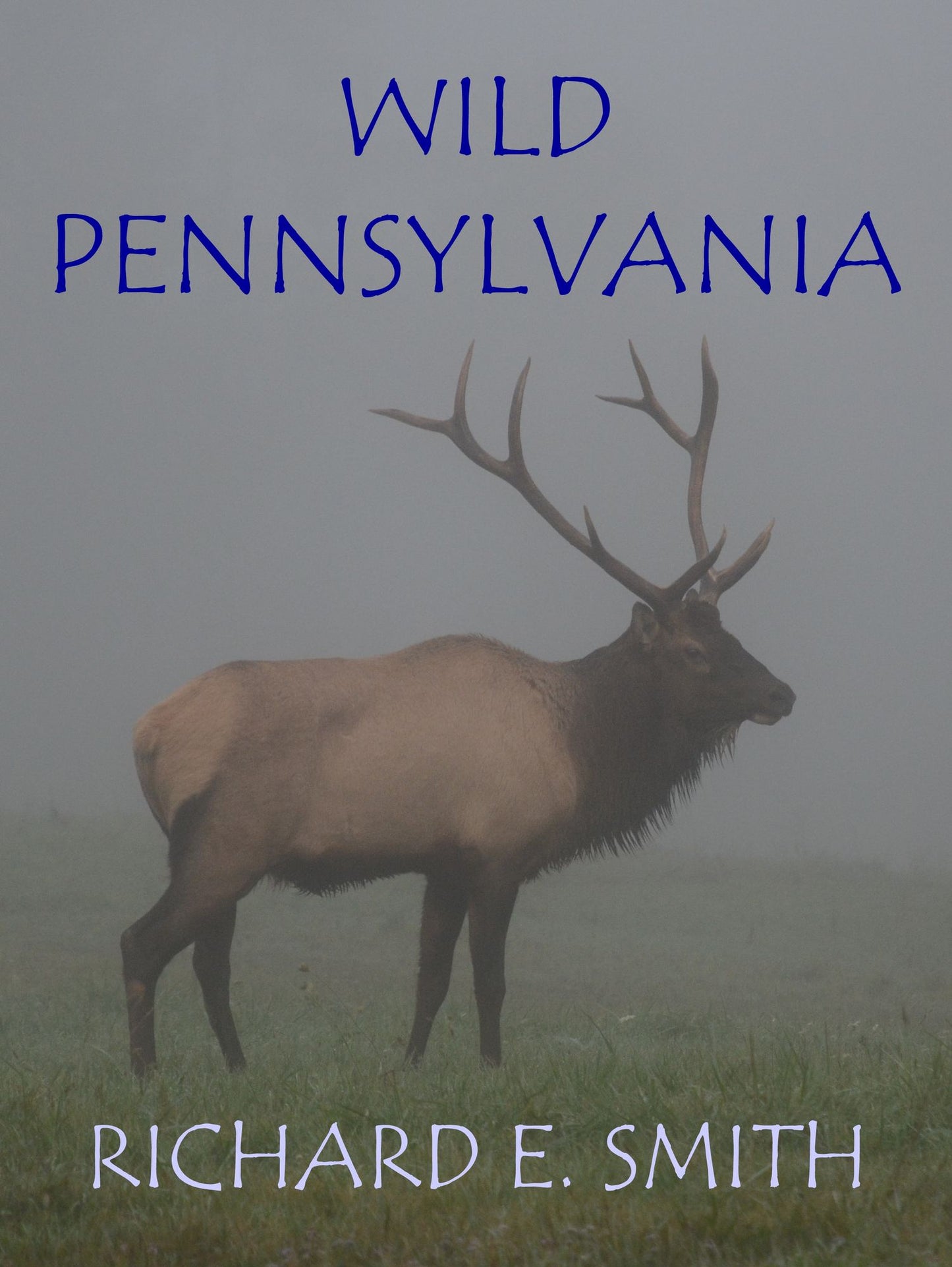Wild Pennsylvania