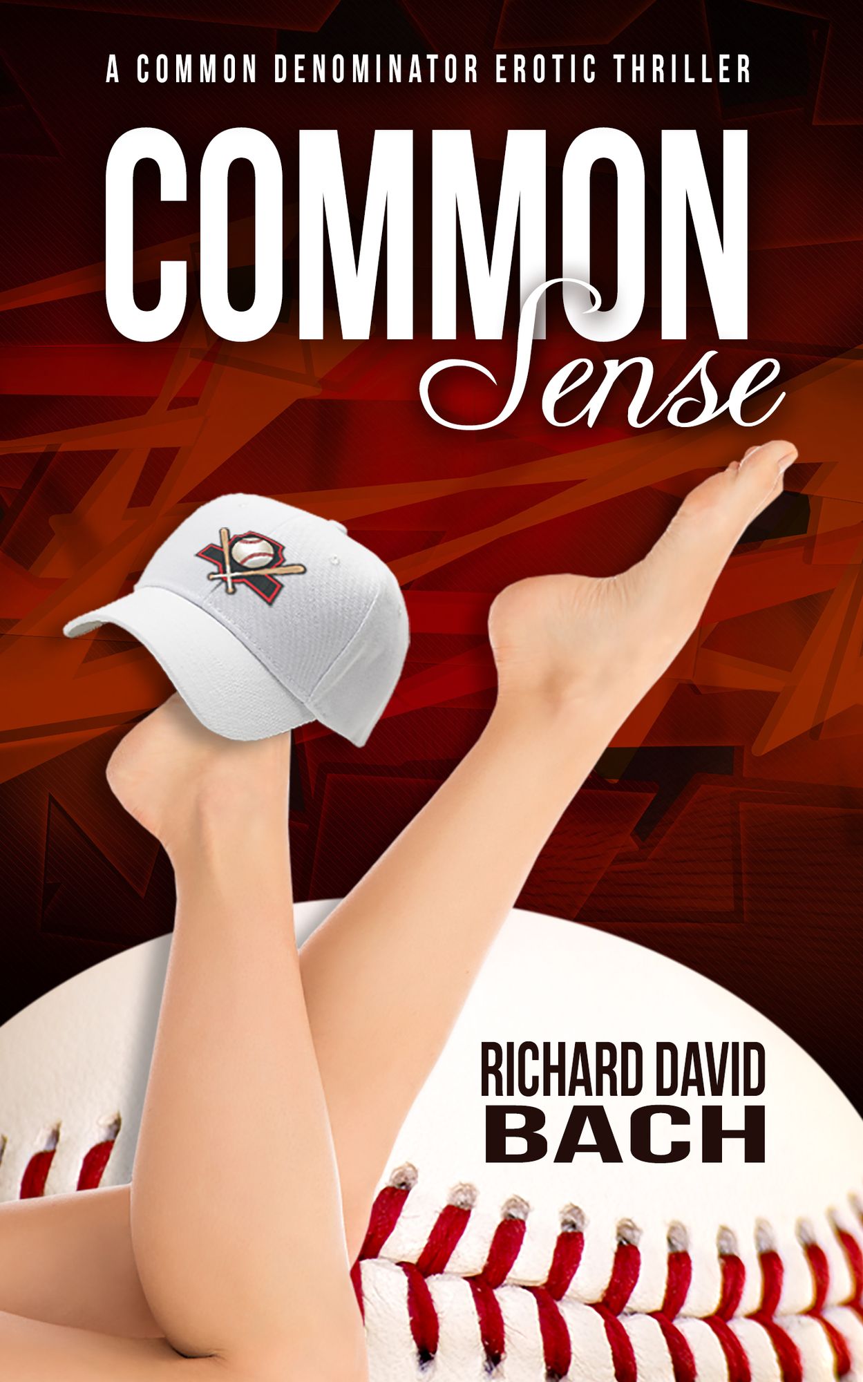 Common Sense: Book #4 of the Common Denominator Series