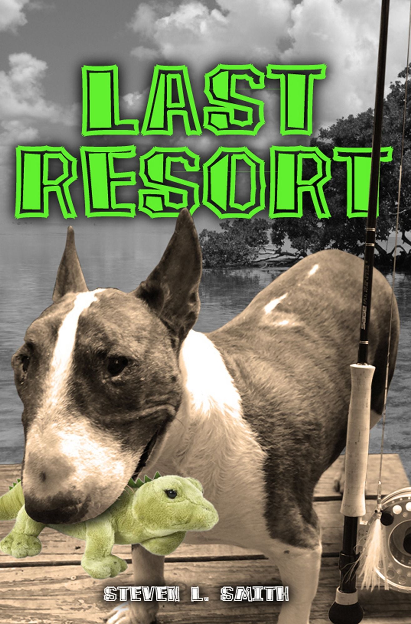 Last Resort