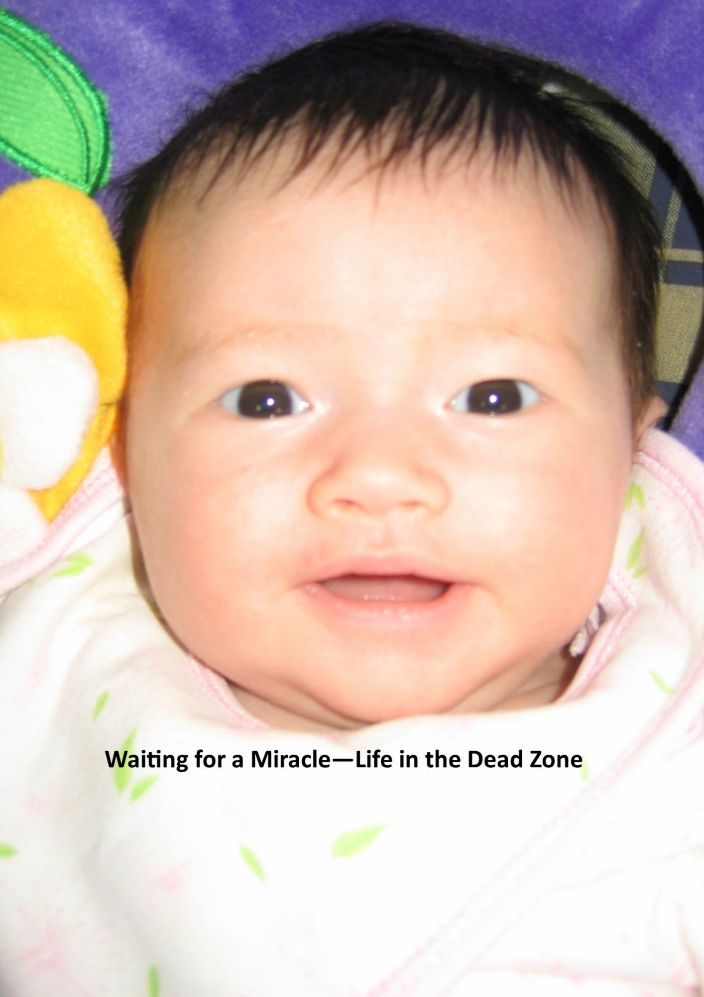 Waiting for a Miracle - Life in the Dead Zone