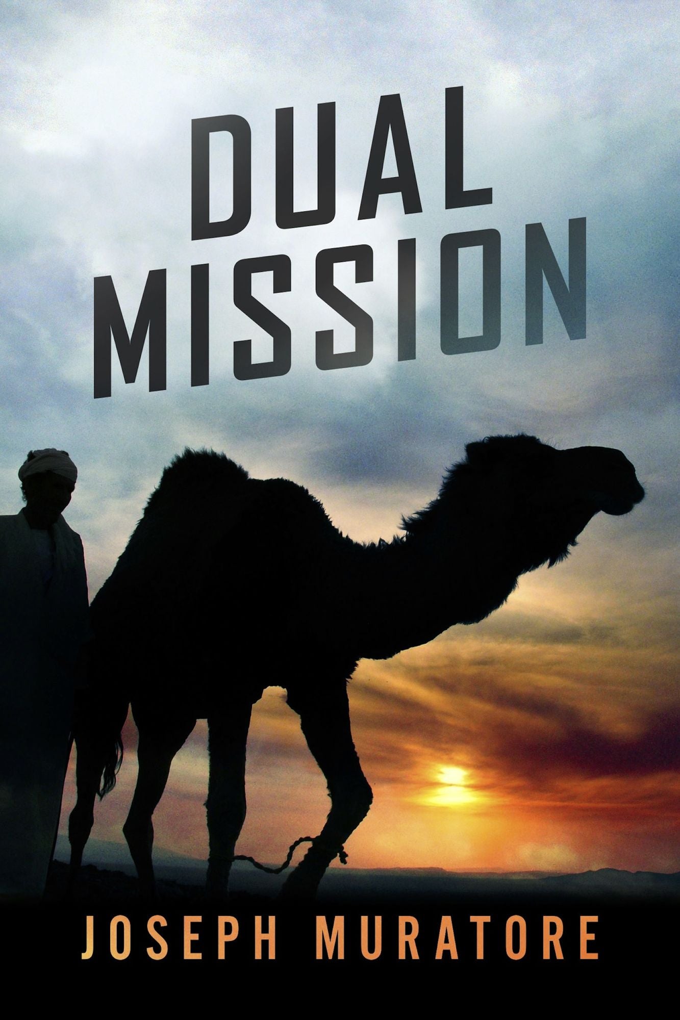 Dual Mission